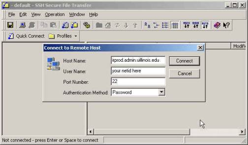 The Connect to Remote Host window