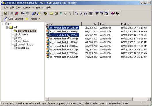 Select the file or files you wish to transfer to your local machine